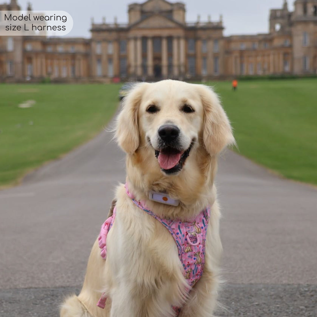 Disney© Tough Trails™ Harness - Nala