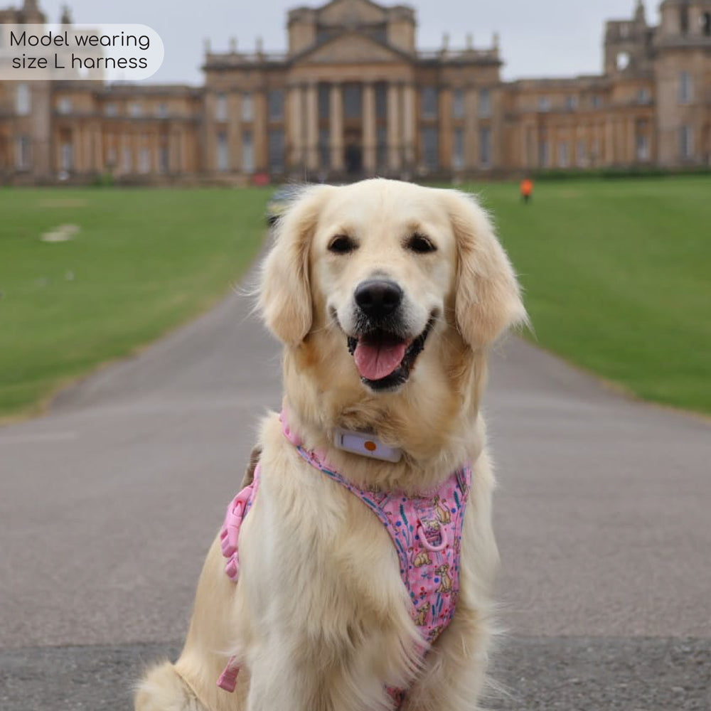 Disney© Tough Trails™ Harness - Nala