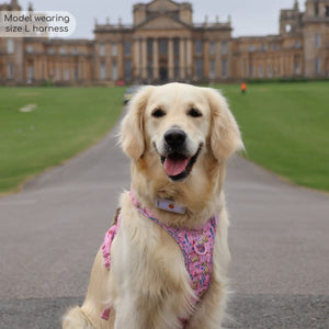 Disney© Tough Trails™ Harness - Nala