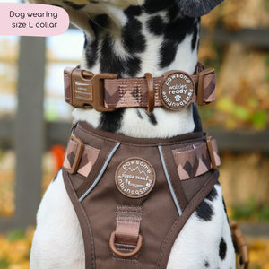 Collar – Walkies Ready® Chocolate Brown