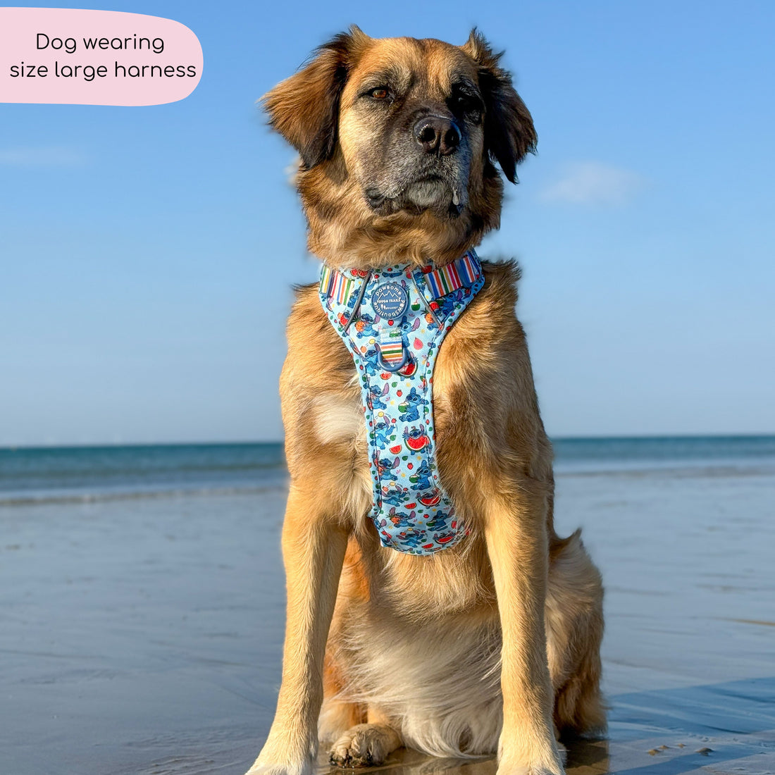 Disney© Tough Trails™ Harness - Stitch's Fruit Fiesta