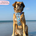 Disney© Tough Trails™ Harness - Stitch's Fruit Fiesta