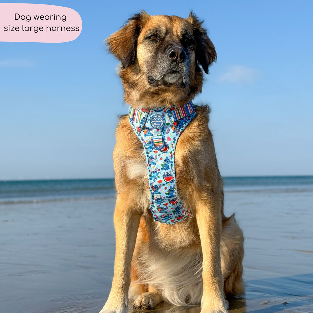 Disney© Tough Trails™ Harness - Stitch's Fruit Fiesta