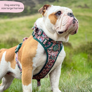 Tough Trails™ Harness -  Adventure Awaits