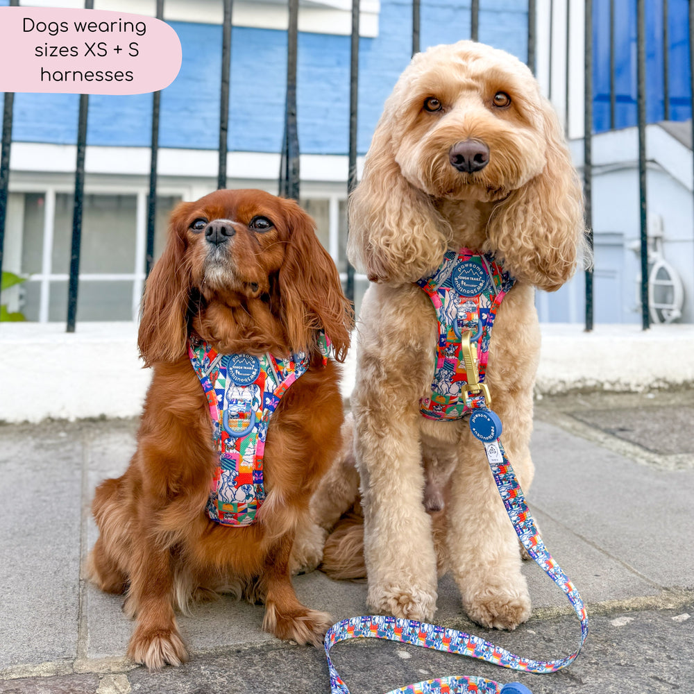 Disney© Tough Trails™ Harness - Lady + The Tramp