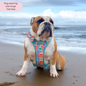 Tough Trails™ Harness - Spongebob