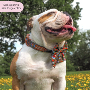 Collar - Rust & Bloom