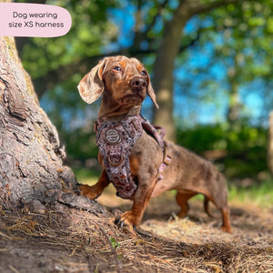 Tough Trails™ Harness -  Cowboy