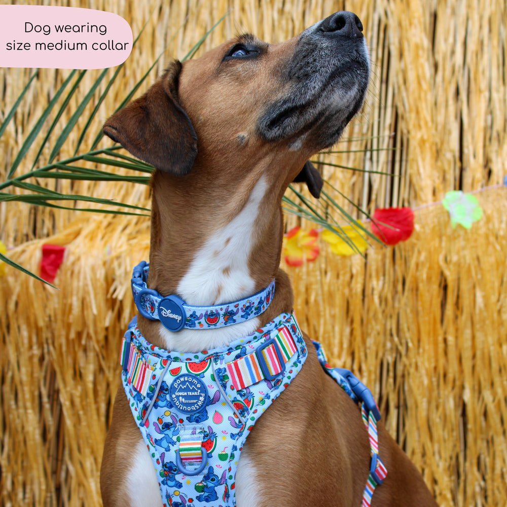 Disney© Collar - Stitch's Fruit Fiesta