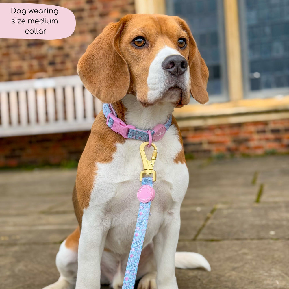 Disney© Collar - Mad Hatters Tea Party