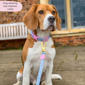 Disney© Collar - Mad Hatters Tea Party