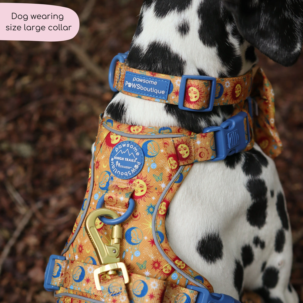 Collar - Celestial Spirit