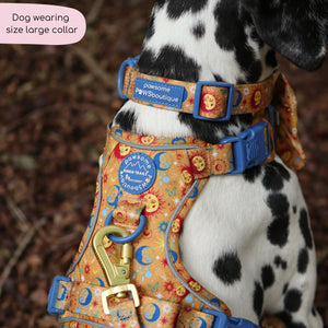 Collar - Celestial Spirit