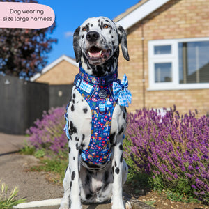 Disney© Tough Trails™ Harness - Alice In Wonderland