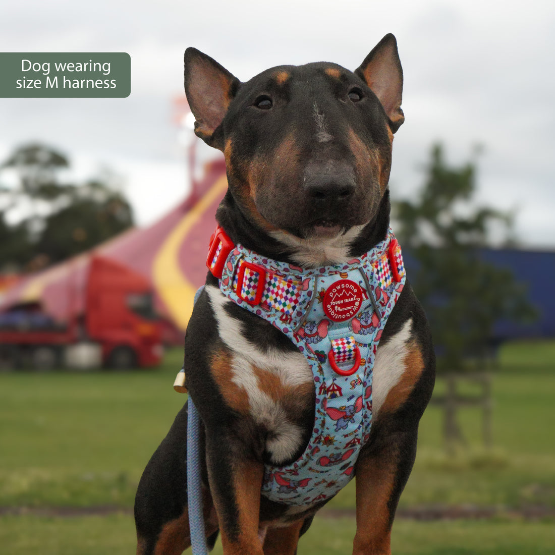 Disney© Tough Trails™ Harness - Dumbo