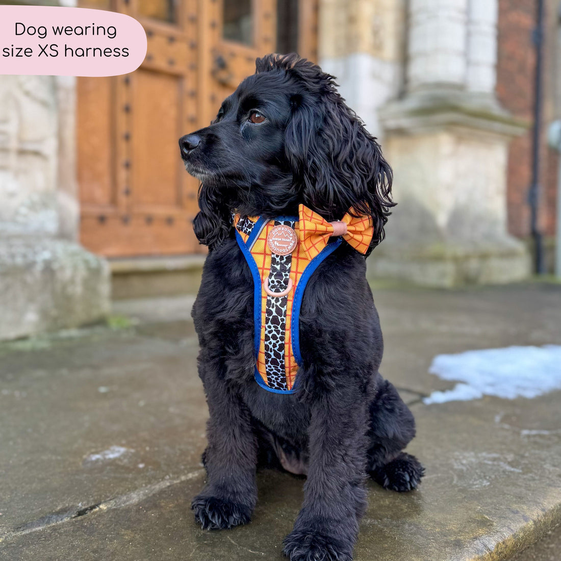 Disney© Tough Trails™ Harness - Woody