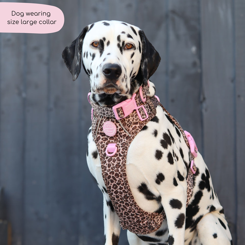 Collar - Leopard Print