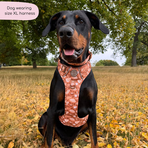 Tough Trails™ Harness - Cinnamon Spice