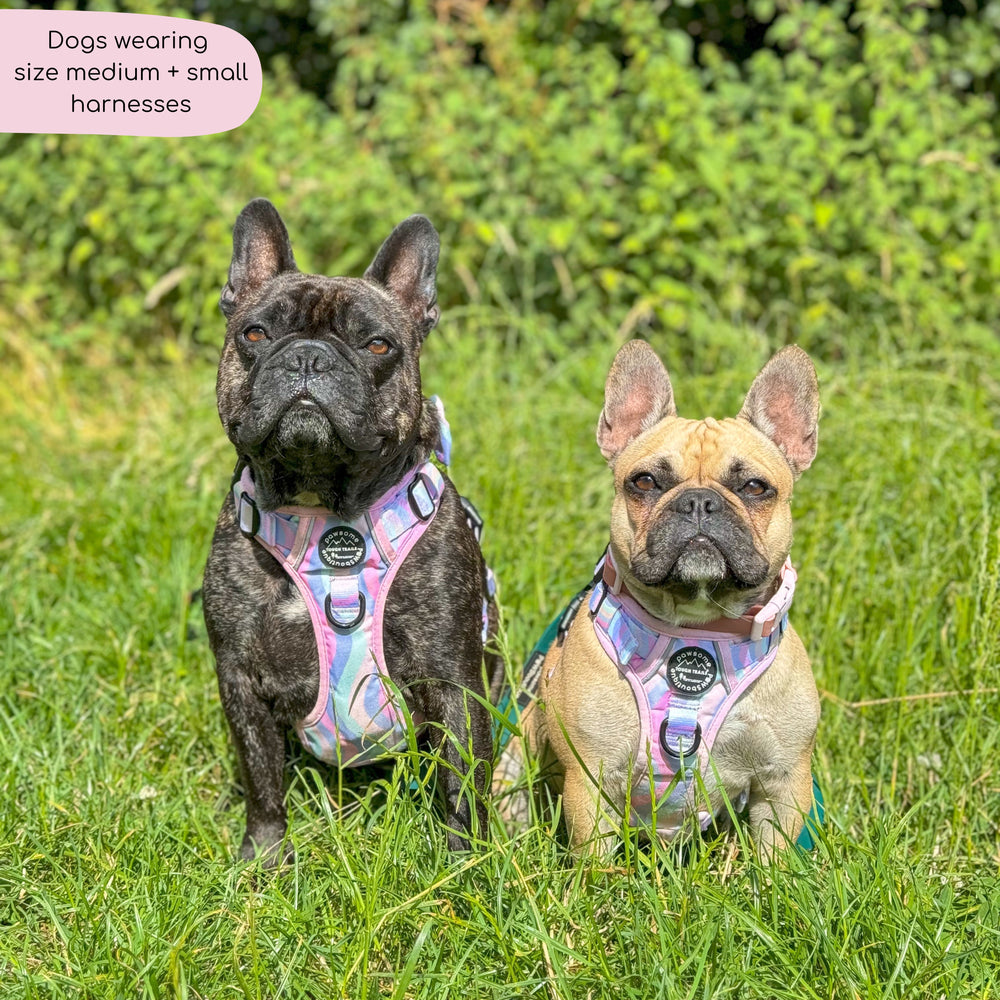 Tough Trails™ Harness - PPB Pastel Swirl