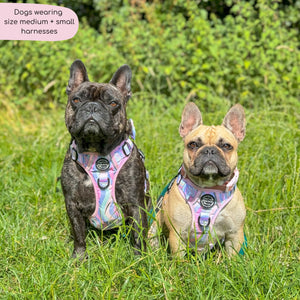 Tough Trails™ Harness - PPB Pastel Swirl