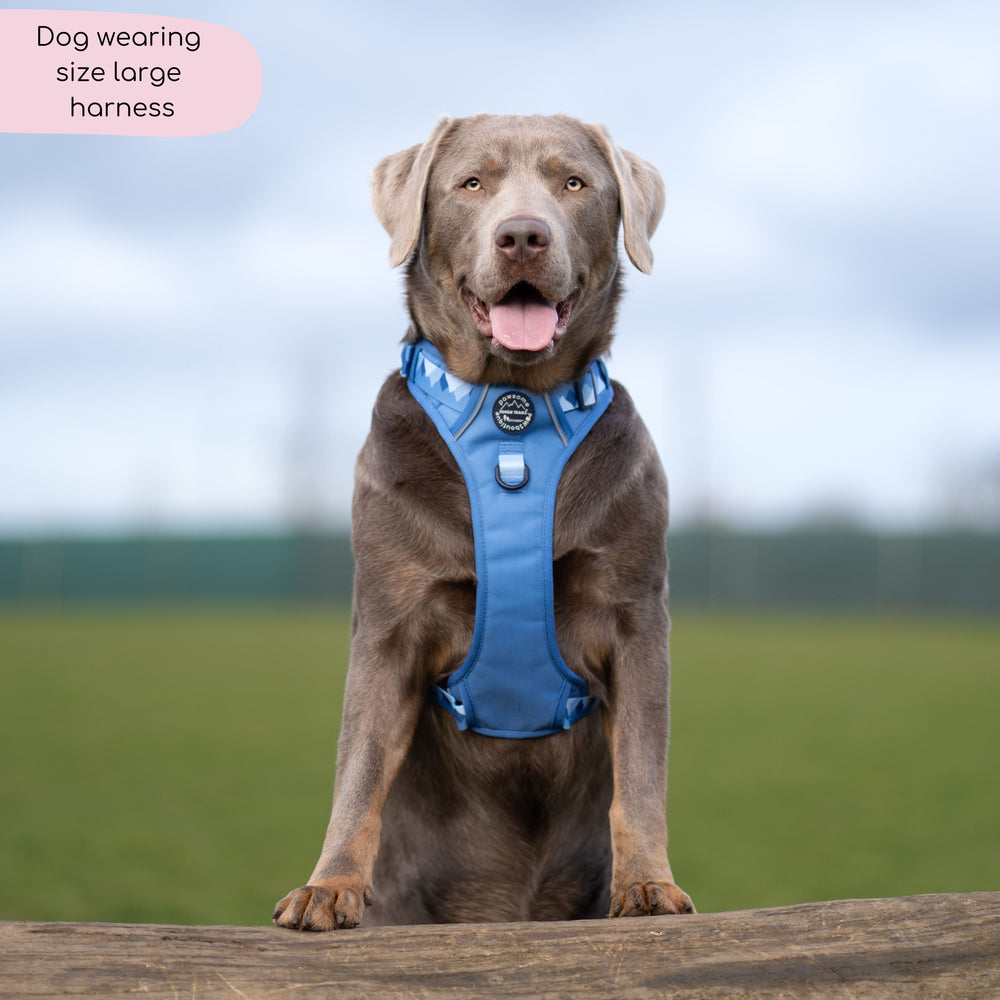 Tough Trails™ Harness - Walkies Ready® Cornflower Blue