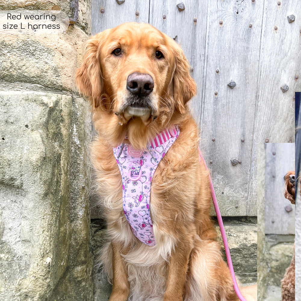 Disney© Tough Trails™ Harness - Piglet