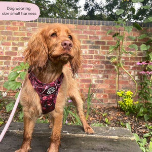 Tough Trails™ Harness - Mable's Meadow