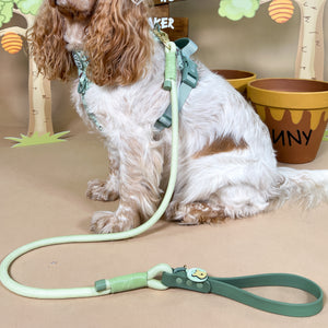 Disney© 4ft Rope Lead - 100 Aker Wood - Light and Dark Green