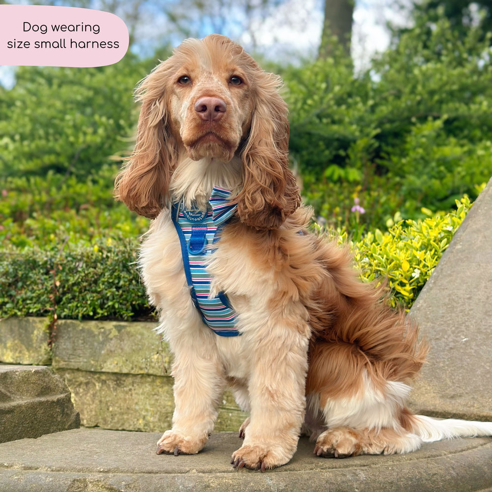 Tough Trails™ Harness -  Sailor Stripes