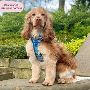 Tough Trails™ Harness -  Sailor Stripes