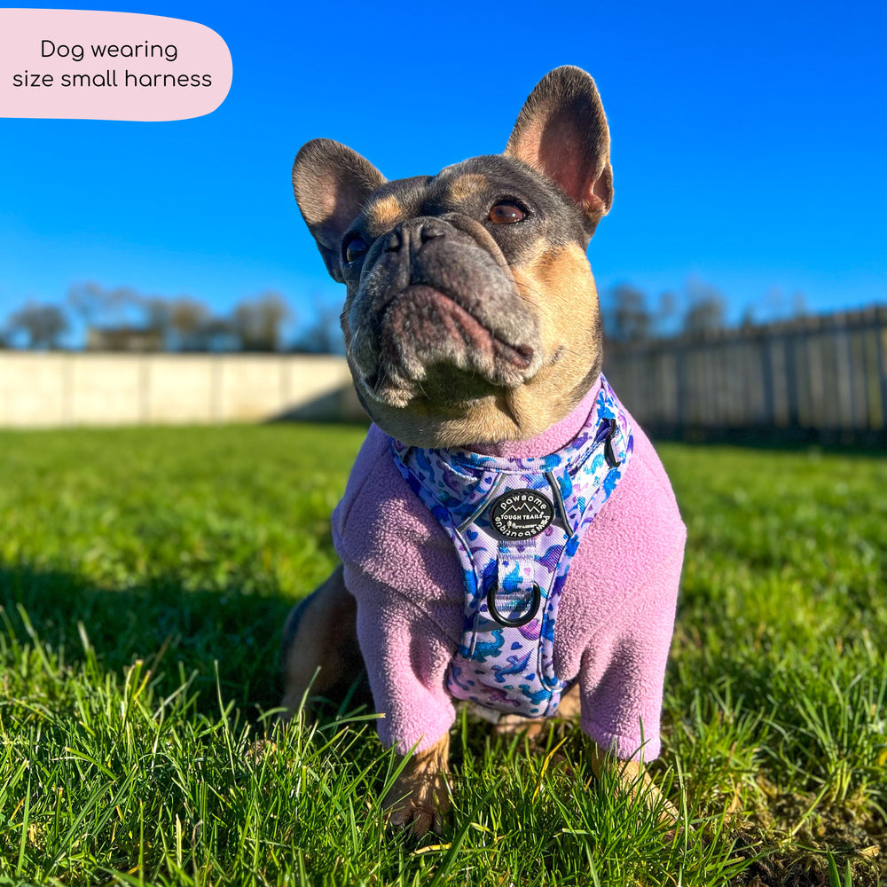 Tough Trails™ Harness - Tiny Diny