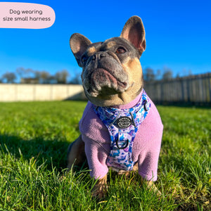 Tough Trails™ Harness - Tiny Diny