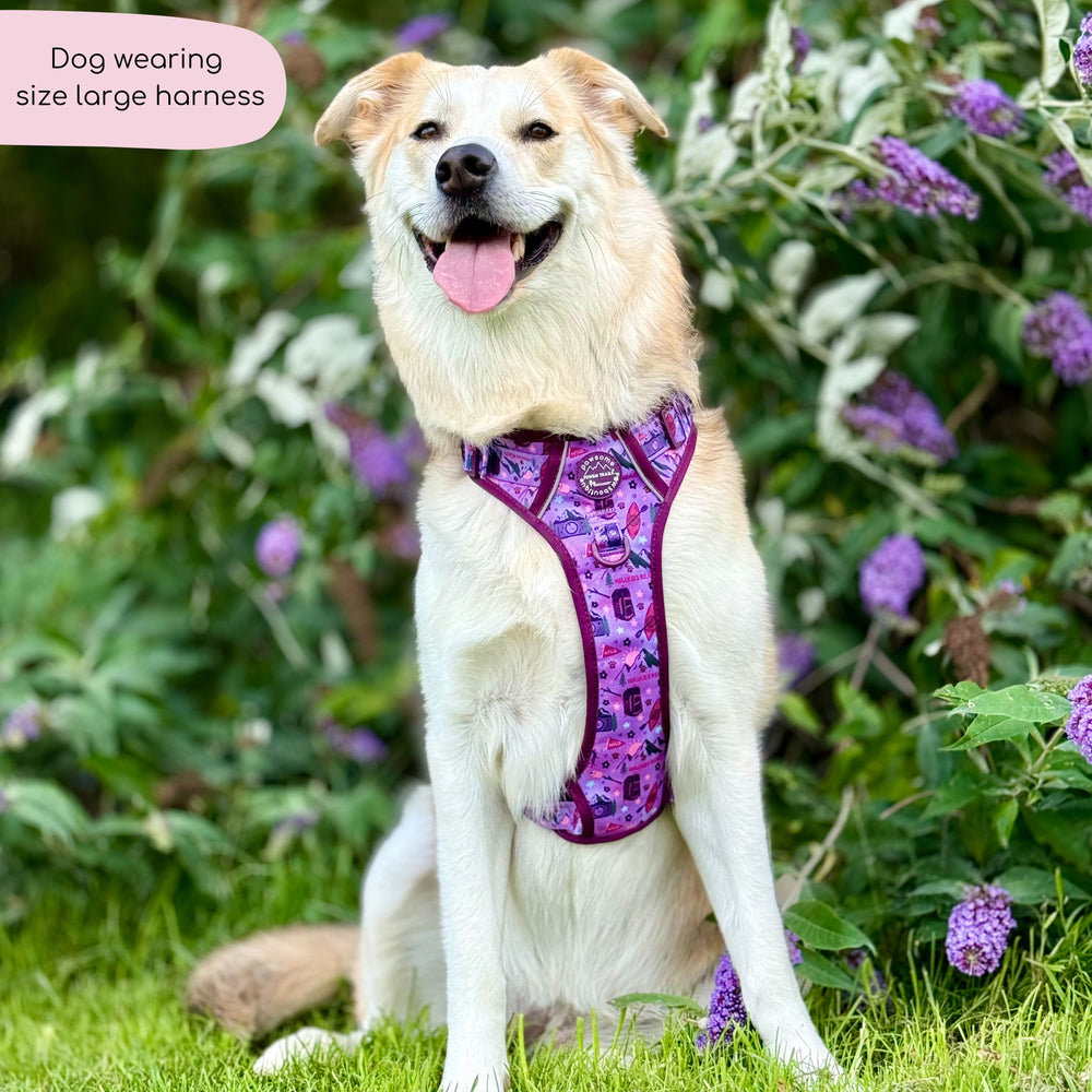 Tough Trails™ Harness - Roaming Wild