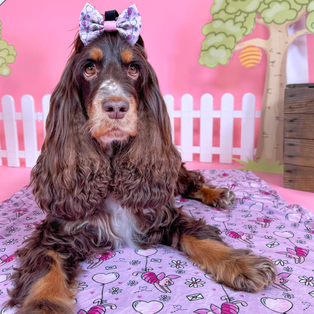 Disney© Dog Blanket - Piglet