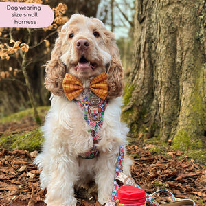 Disney© Tough Trails™ Harness - Toy Story Friends