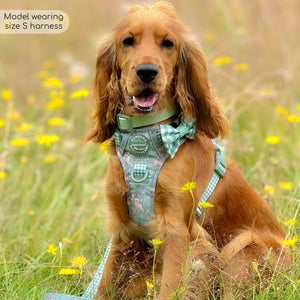 Disney© Tough Trails™ Harness - Bambi + Thumper