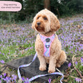 Tough Trails™ Harness - PPB Pastel Swirl