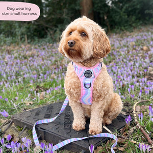 Tough Trails™ Harness - PPB Pastel Swirl