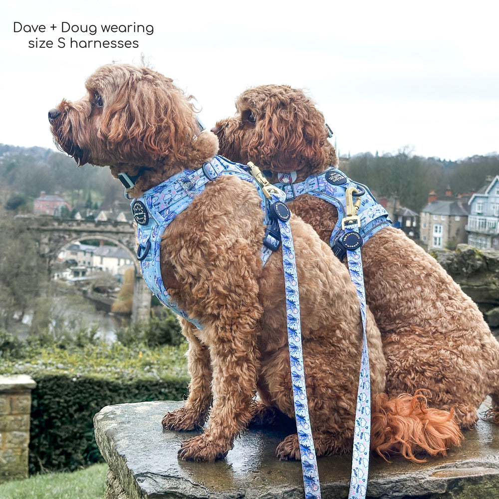 Disney© Tough Trails™ Harness - Eeyore