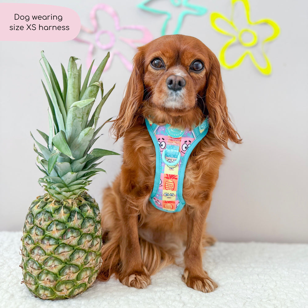 Tough Trails™ Harness - Spongebob