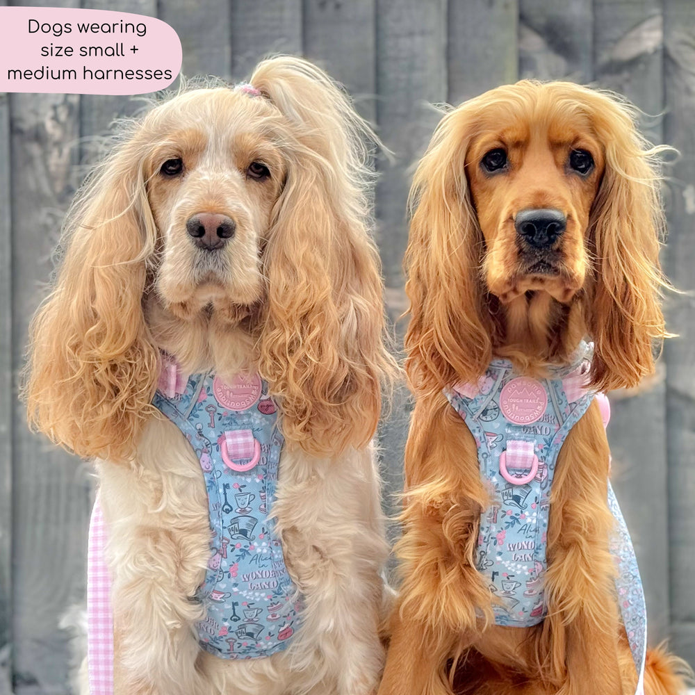 Disney© Tough Trails™ Harness - Mad Hatters Tea Party