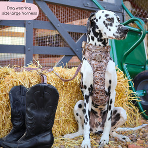 Tough Trails™ Harness -  Cowboy