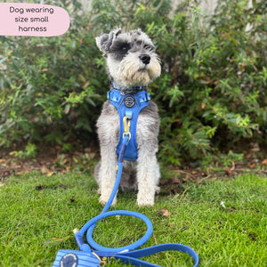 Tough Trails™ Harness - Walkies Ready® Cornflower Blue