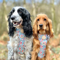 Disney© Tough Trails™ Harness - Winnie The Pooh