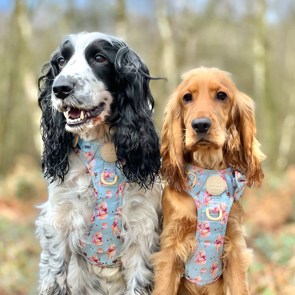 Disney© Tough Trails™ Harness - Winnie The Pooh