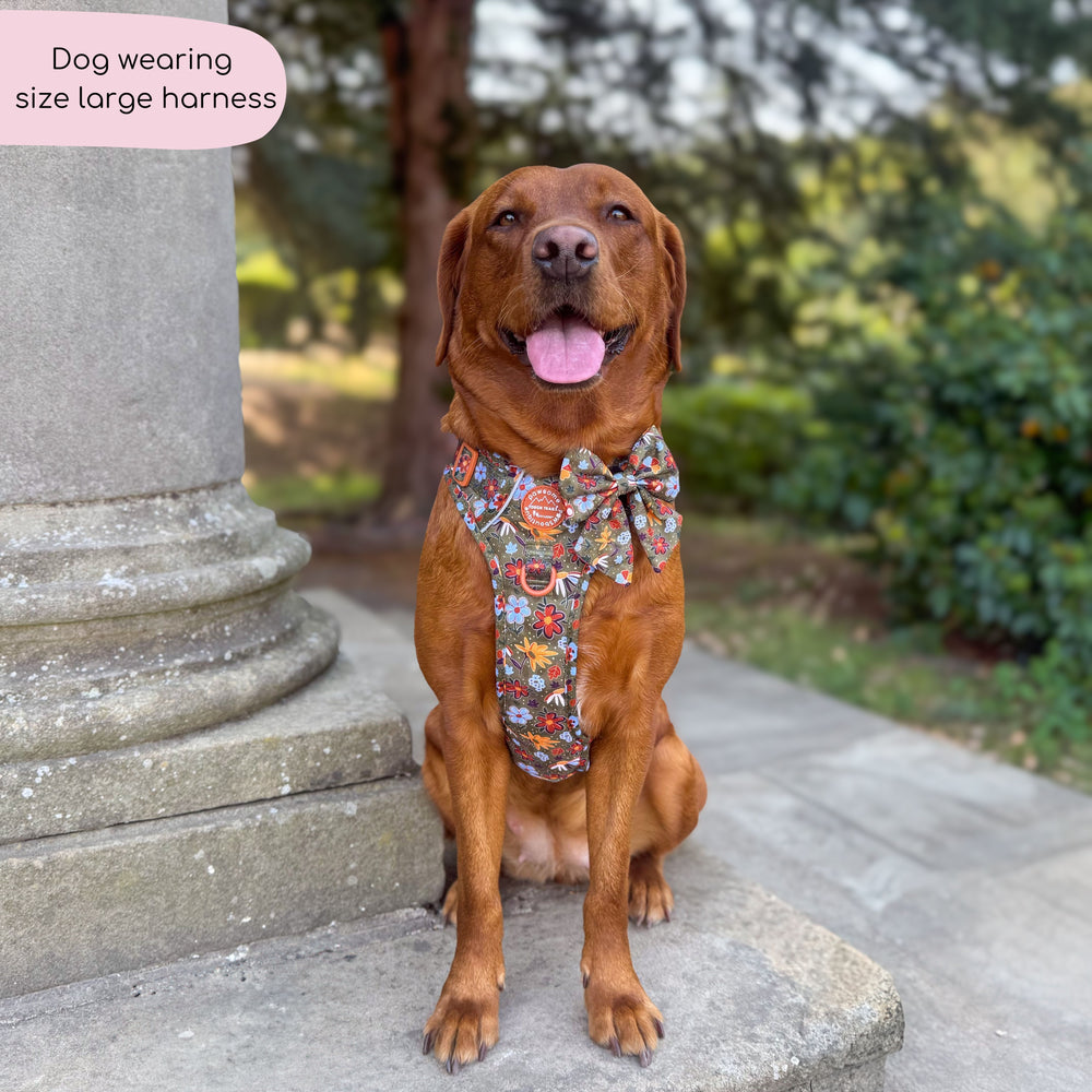 Tough Trails™ Harness - Rust & Bloom