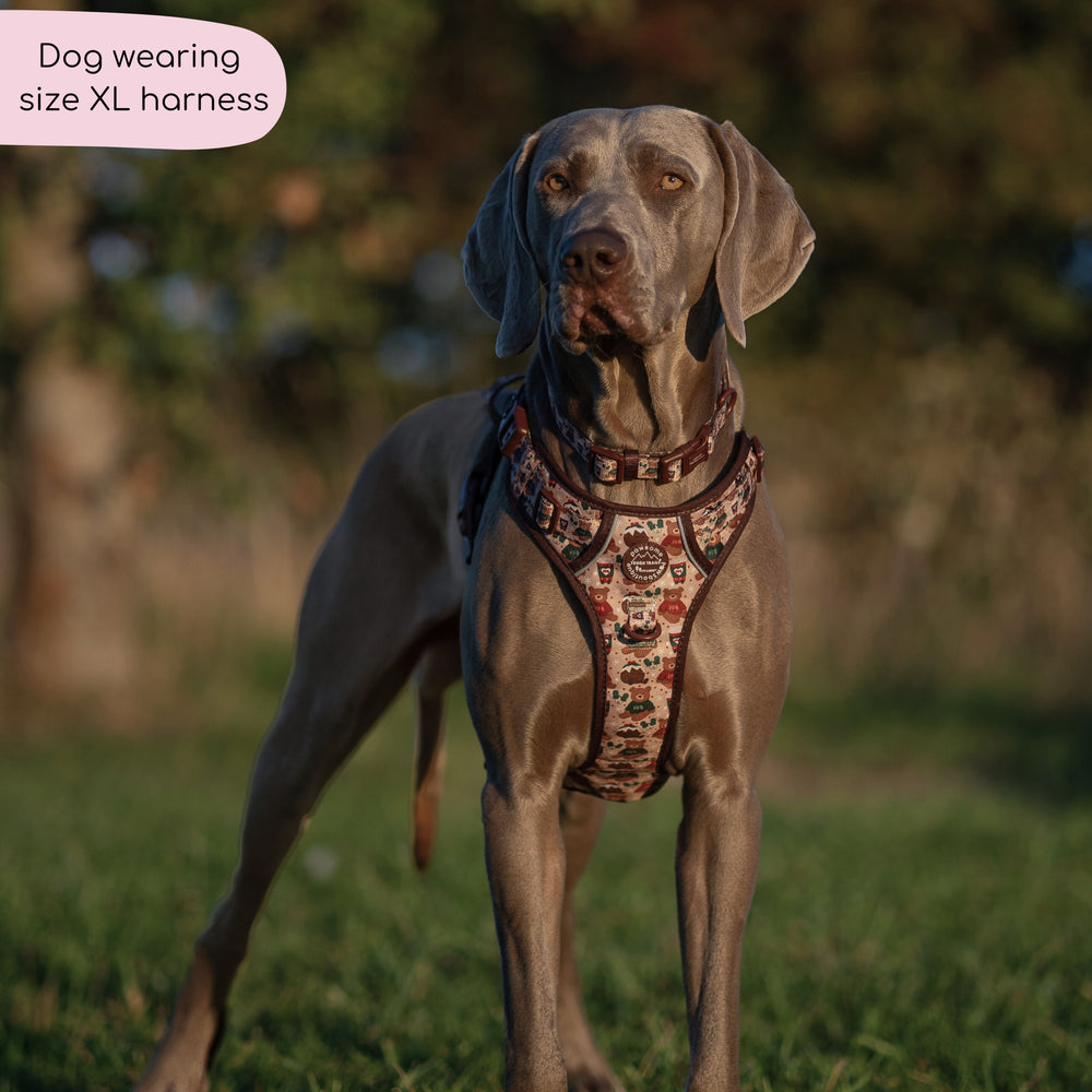 Tough Trails™ Harness - Snuggle Season