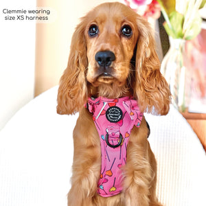 Tough Trails™ Harness - Candypop