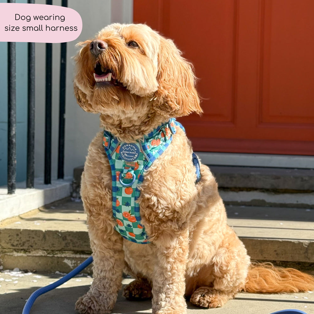 Tough Trails™ Harness -  Fruit Punch