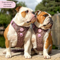 Tough Trails™ Harness -  Leopard Print